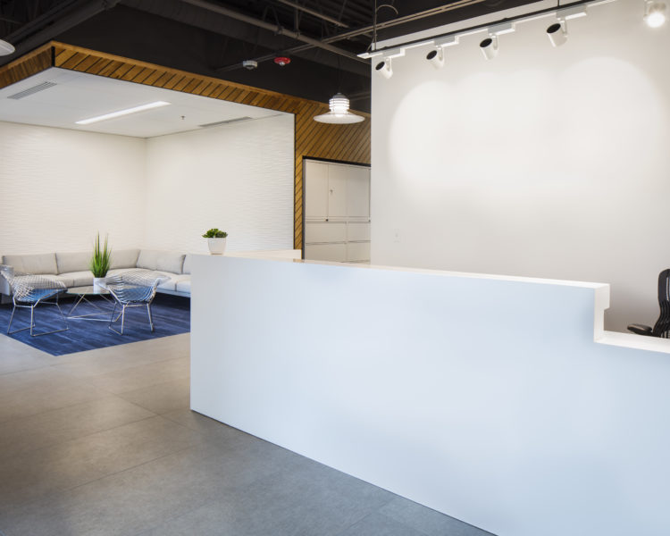 Avalon Flooring Office Renovation The Bannett Group